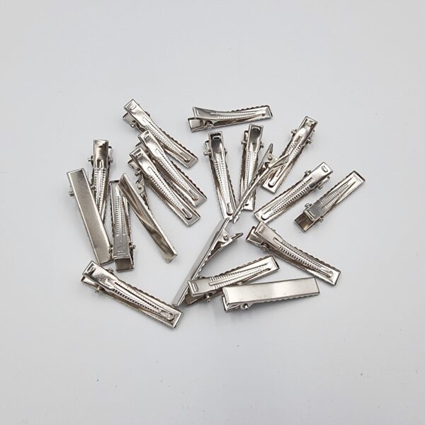 Hair Alligator Clip Bundle